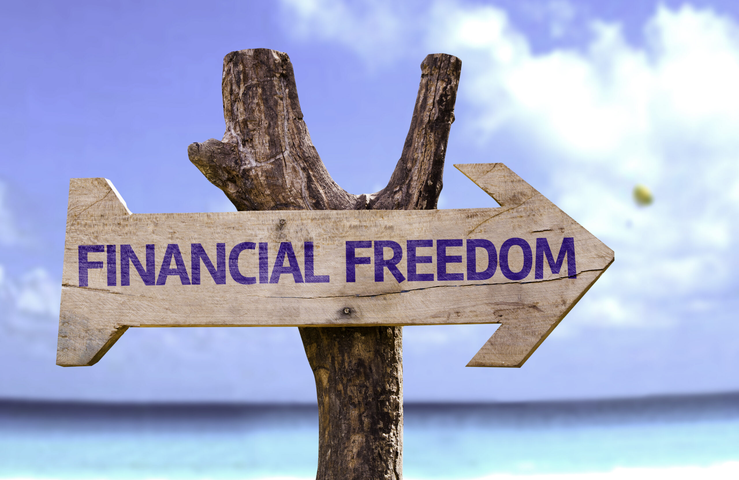 “Financial freedom” written on a wooden arrow sign